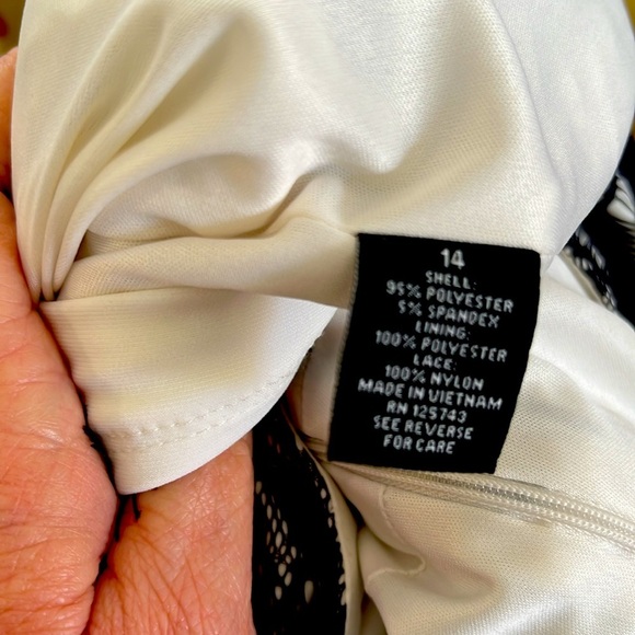 Elegant Lace Dress (dress barn ) - Picture 7 of 7